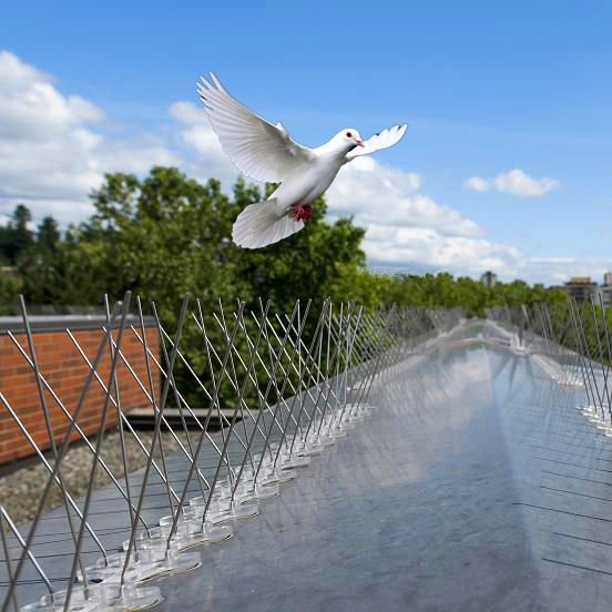 Bird Spikes in Hyderabad
