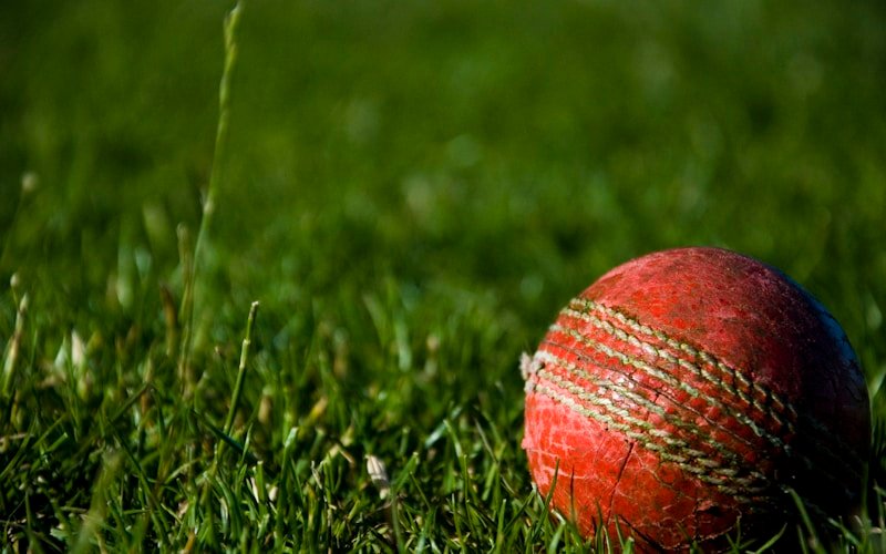 Cricket Practice Nets